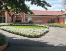 Piantumazione Piantumazione